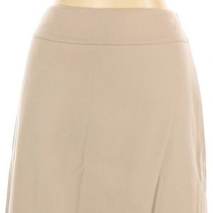 Ann Taylor Skirt